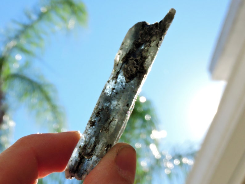 Elongated blue kyanite crystal with silvery mica layers, natural metamorphic specimen.