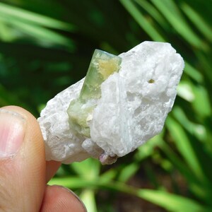 Turmalina verde sobre albita – Elbaíta bicolor de Pakistán / Ejemplar mineral de colección (38 g, 2”) imagen 7