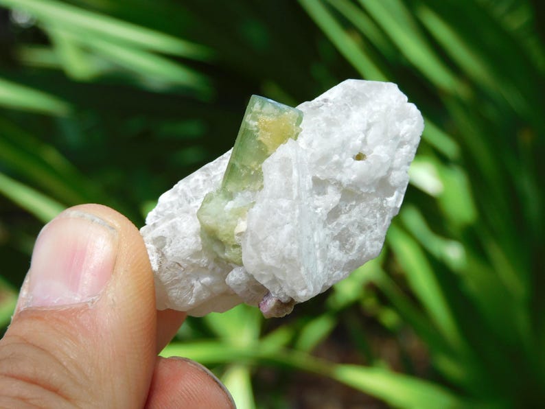Turmalina verde sobre albita – Elbaíta bicolor de Pakistán / Ejemplar mineral de colección (38 g, 2”) imagen 7
