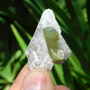 Turmalina verde sobre albita – Elbaíta bicolor de Pakistán / Ejemplar mineral de colección (38 g, 2”) imagen 3