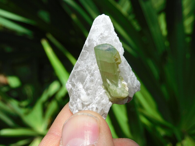 Turmalina verde sobre albita – Elbaíta bicolor de Pakistán / Ejemplar mineral de colección (38 g, 2”) imagen 3