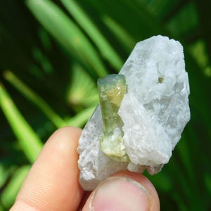 Turmalina verde sobre albita – Elbaíta bicolor de Pakistán / Ejemplar mineral de colección (38 g, 2”) imagen 6