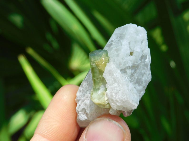 Turmalina verde sobre albita – Elbaíta bicolor de Pakistán / Ejemplar mineral de colección (38 g, 2”) imagen 6