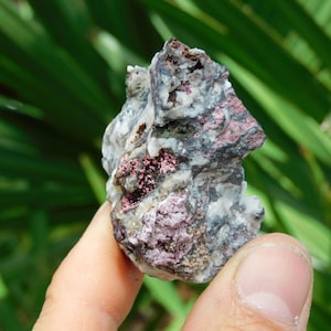 May include: A close-up of a mineral specimen held between fingers. The rock has a mix of colors, including white, gray, black, and patches of pink and red. The background is blurred green foliage.