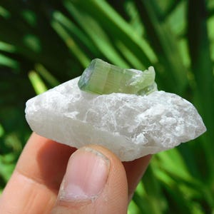 Turmalina verde sobre albita – Elbaíta bicolor de Pakistán / Ejemplar mineral de colección (38 g, 2”) imagen 2