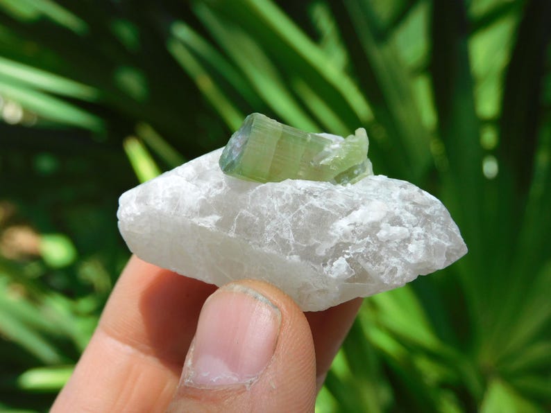 Turmalina verde sobre albita – Elbaíta bicolor de Pakistán / Ejemplar mineral de colección (38 g, 2”) imagen 2