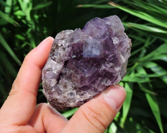 Purple Fluorite Crystal from Mexico Natural Stone Store Shop  Rocks & Geodes Mine Raw Clear Birthday Gift Rough Mineral