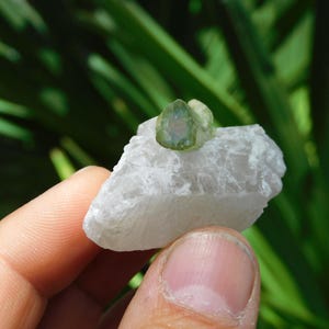 Turmalina verde sobre albita – Elbaíta bicolor de Pakistán / Ejemplar mineral de colección (38 g, 2”) imagen 8