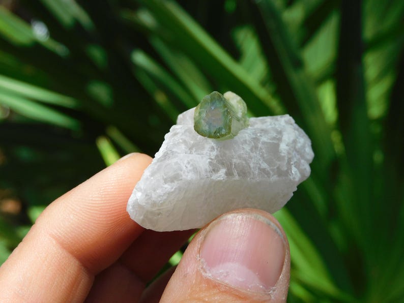 Turmalina verde sobre albita – Elbaíta bicolor de Pakistán / Ejemplar mineral de colección (38 g, 2”) imagen 8