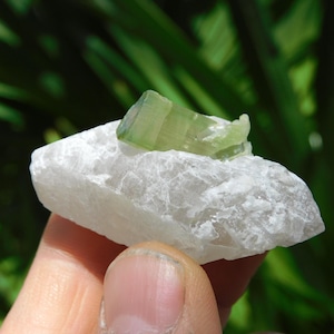 Turmalina verde sobre albita – Elbaíta bicolor de Pakistán / Ejemplar mineral de colección (38 g, 2”) imagen 1