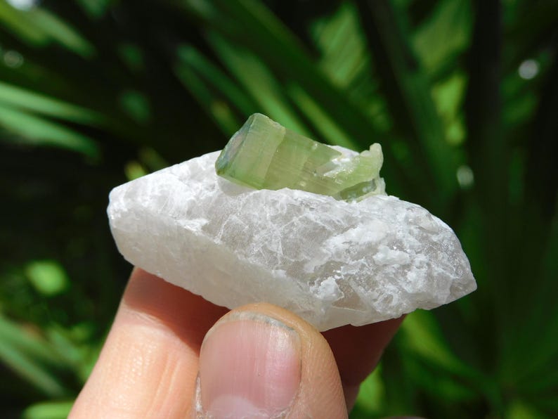 Turmalina verde sobre albita – Elbaíta bicolor de Pakistán / Ejemplar mineral de colección (38 g, 2”) imagen 1