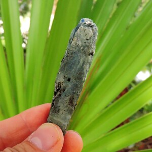 Raw kyanite crystal with silver mica coating, collectible blue mineral specimen