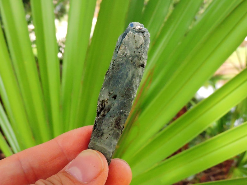 Raw kyanite crystal with silver mica coating, collectible blue mineral specimen