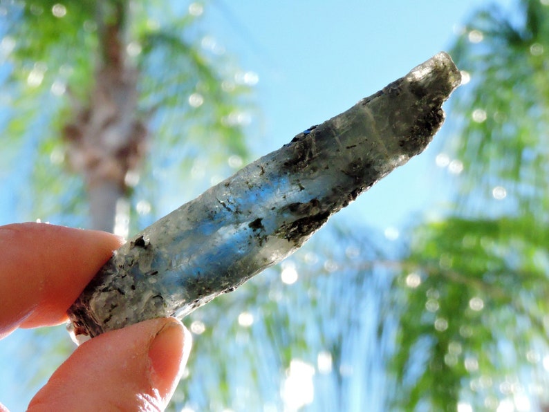 Blue kyanite crystal blade with mica matrix showing natural sheen and elongated bladed form.