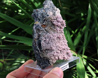 256g Pink Cobalt with Aragonite from Spain - 4" Inch Display Specimen Birthstone Gemstone Energy Crystal Minerals Cluster Rocks & Geodes