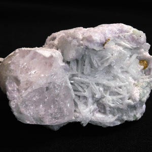 May include: A raw mineral specimen featuring a cluster of pale lavender, translucent crystalline structures on one side and a dense formation of thin, needle-like white crystals on the other, with a small golden-brown inclusion visible.