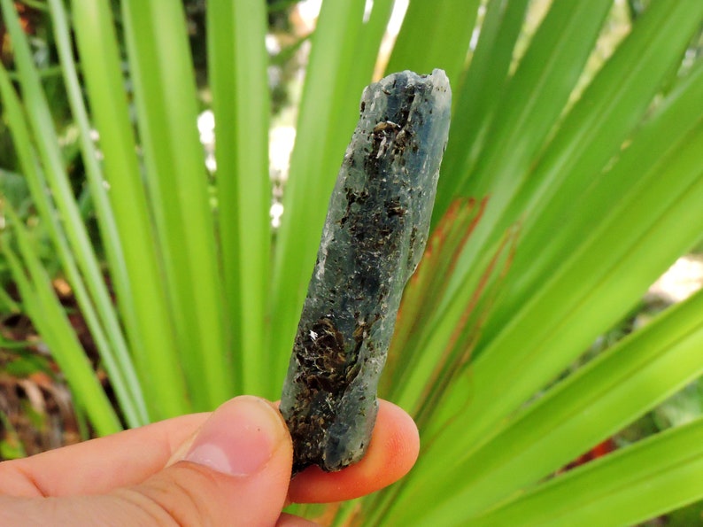 Shiny blue kyanite blade embedded with mica, natural metamorphic mineral.