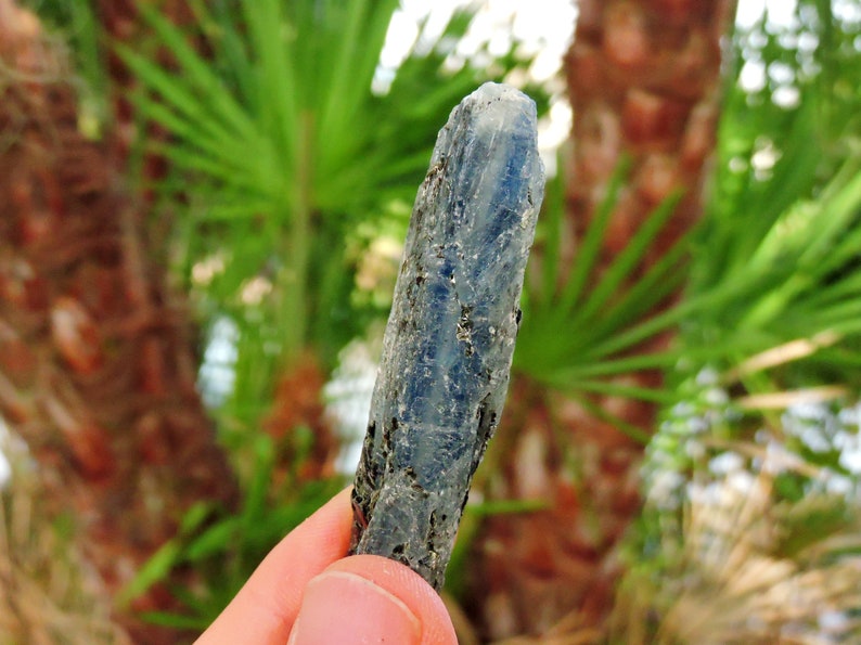 Blue kyanite with mica matrix, 3-inch natural crystal showing reflective luster.