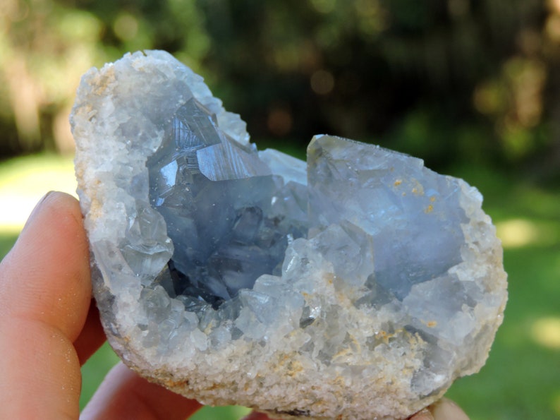 Celestine Specimen Madagascar Rock Shop Store Sale Metaphysical Real Rare Raw Rough Spiritual Gift Mineral Blue Gemstone