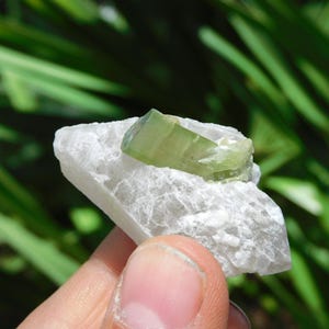 Turmalina verde sobre albita – Elbaíta bicolor de Pakistán / Ejemplar mineral de colección (38 g, 2”) imagen 9