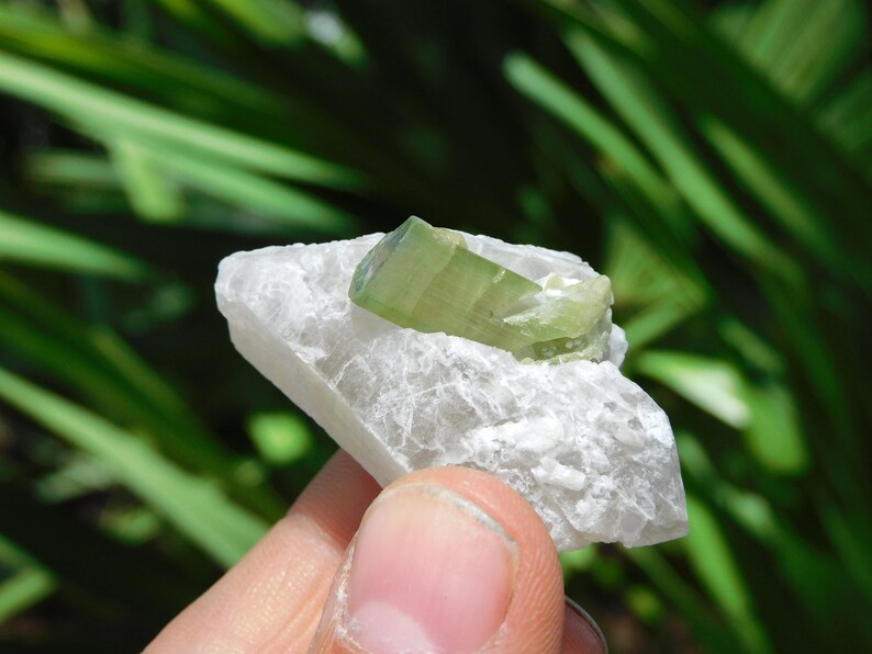Turmalina verde sobre albita – Elbaíta bicolor de Pakistán / Ejemplar mineral de colección (38 g, 2”) imagen 9