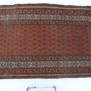 May include: A vintage red, brown, and blue rug with a paisley pattern. The rug has a fringe border and is in good condition.