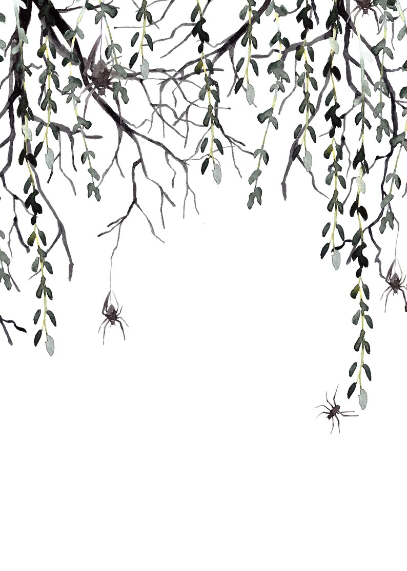 May include: Watercolor painting of bare branches with green leaves hanging down.  Spiders are hanging from the branches.
