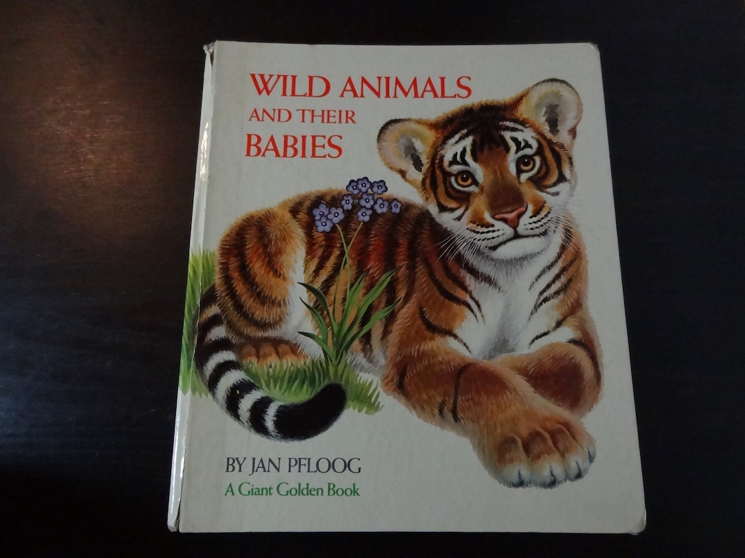 A Giant Golden Picture Book 