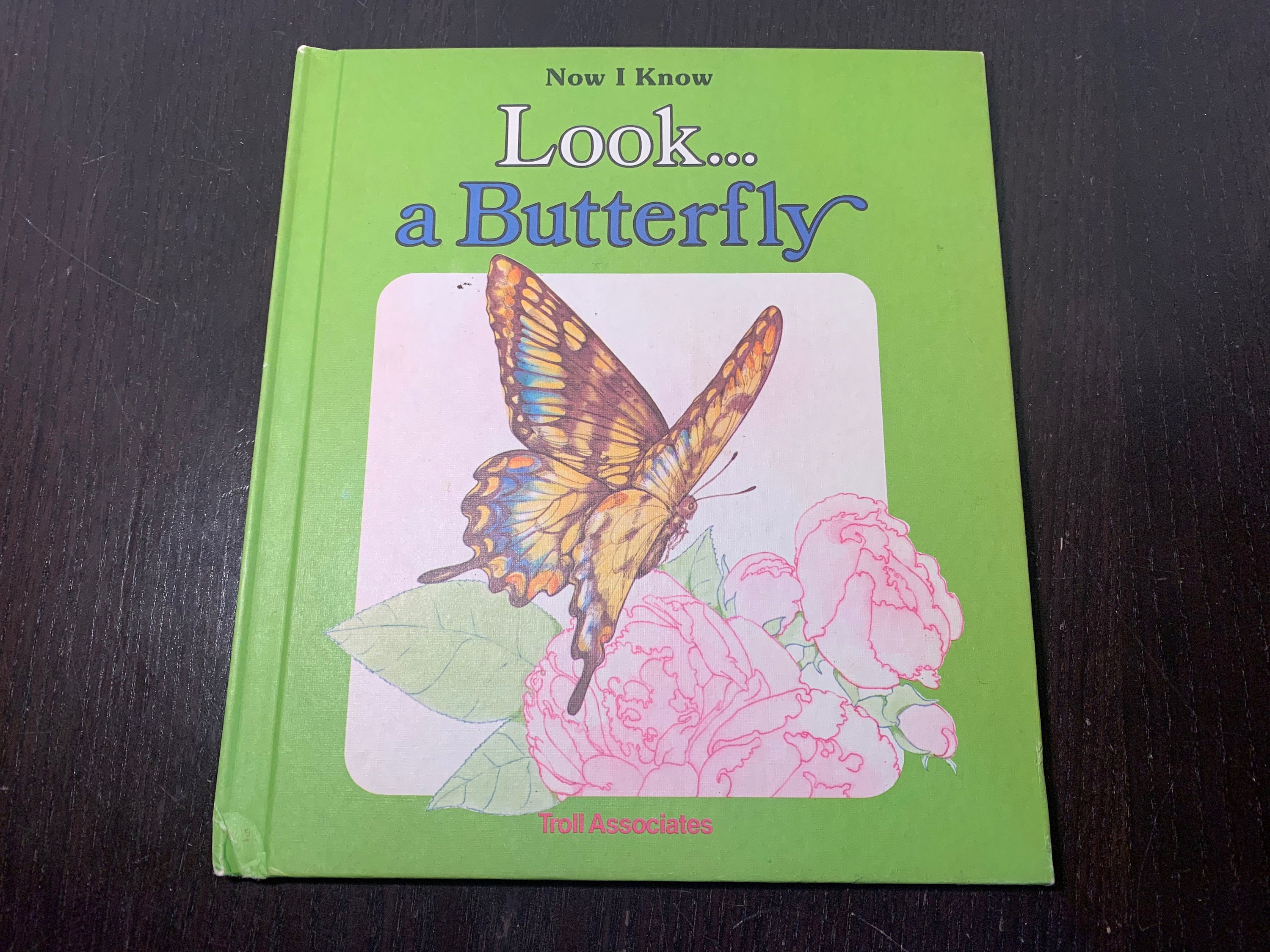 Vintage Illustrated Butterfly Book - Etsy
