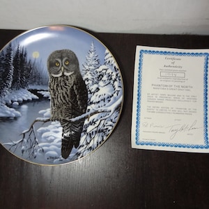 Vintage Rare Terry McLean “Phantom of the North” Collectible Decorative Plate - 1094/5000 - Numbered and Signed