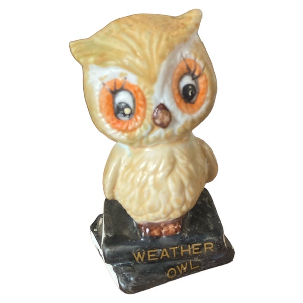 Vintage Enesco Ceramic Wise Owl Figurine Weatherman Forecaster Meteorologist '75