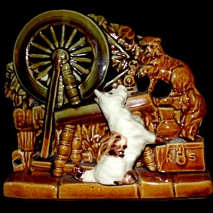 Charming McCoy Terrier Peeking at Cat near Spinning Wheel