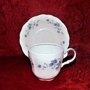 Johann Haviland Blue Garland Cup and Saucer: Platinum Trim Fine China