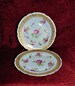 RARE: Two Early 1900 Royal Bayreuth Porcelain Plates Pattern ROB347 Gilded with Roses 