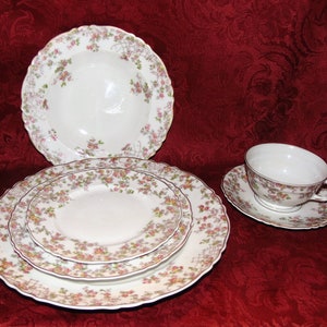 Haviland Limoges China: Trellis Pattern, 6-Piece Place Setting for 8