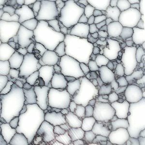 TruStone- White with Black Web - 1.5&quot; x 6&quot;- 1 Piece