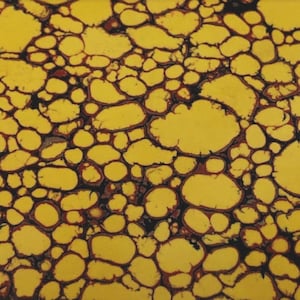 May include: Abstract pattern featuring a yellow background with irregular, rounded shapes in varying sizes. The shapes are outlined in dark brown, creating a network-like design. The overall effect is a textured, organic appearance.