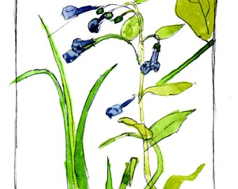 Blue Bells 2 Note Card