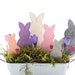 see more listings in the Ostern & Frühling section