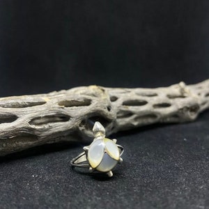 May include: A silver ring with a white shell turtle design.