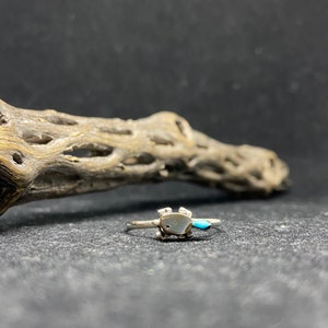 May include: A silver ring with a turquoise stone in the shape of a turtle.