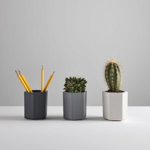 May include: Three grey hexagonal planters, two with yellow pencils and one with a small green succulent plant, and one with a small cactus plant.