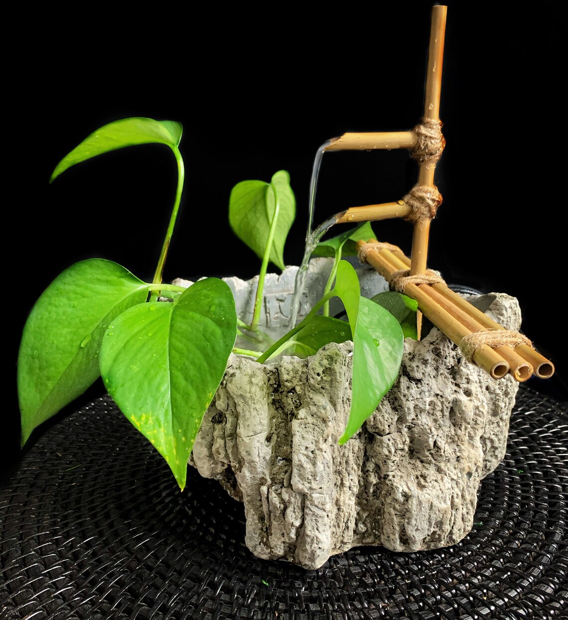 Jardín de agua de la fuente de bambú Zen con contenedor de | Etsy