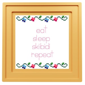 May include: A framed cross-stitch design with a white background and pink text that reads "eat sleep skibidi repeat". The design is surrounded by a green vine with blue and pink flowers.