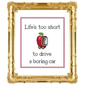 May include: A framed cross-stitch artwork with a gold ornate frame. The artwork features the text "Life's too short to drive a boring car" with an image of an apple-shaped car. The car is red with a green leaf and a person inside.