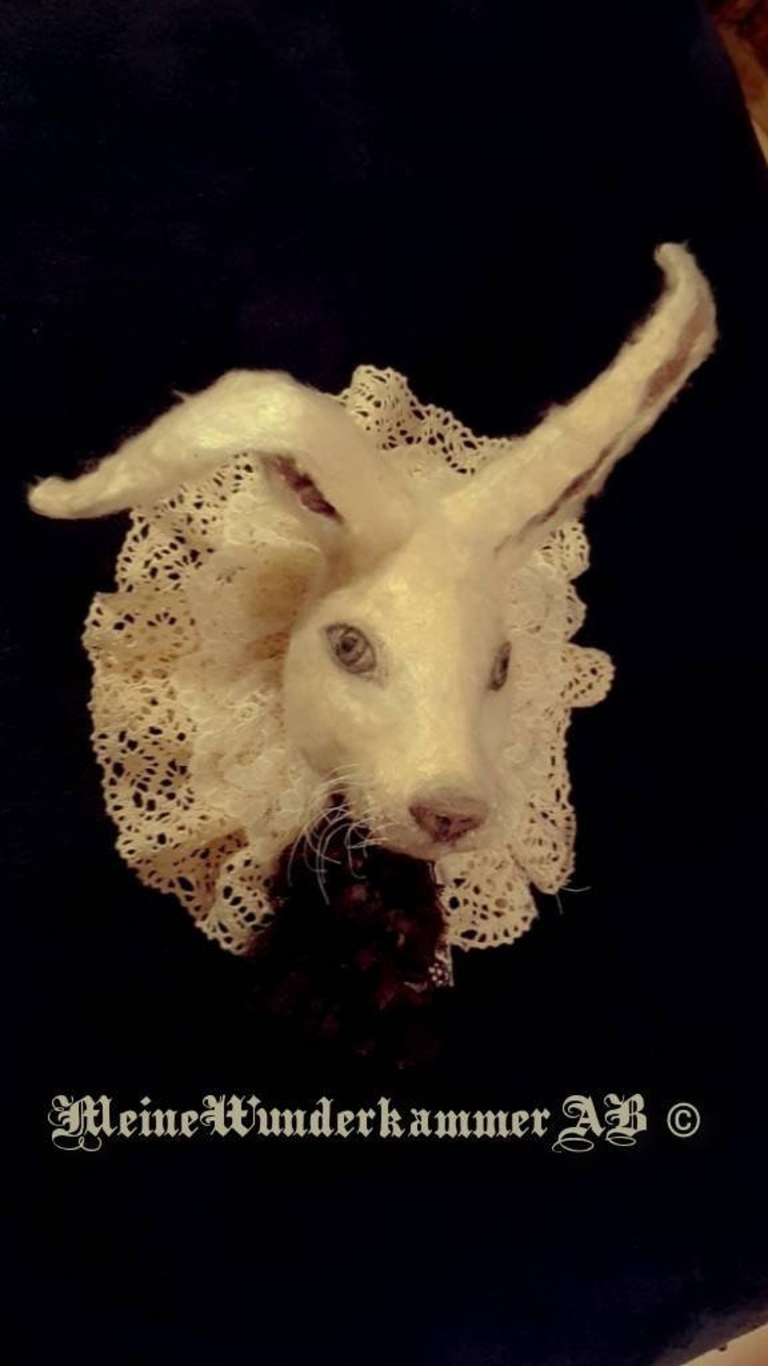 White Rabbit Head - Alice in Wonderland-rabbit Wall Sculpture- Faux ...