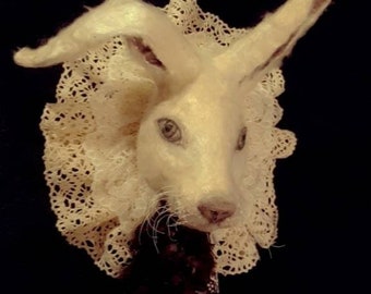 May include: A white rabbit with long ears is wearing a white lace collar. The rabbit is mounted on a dark background. The text "Meine Wunderkammer AB ©" is at the bottom of the image.