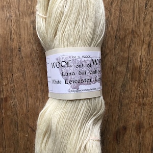 Wool Out of Wales 3 ply Skein.  Leicester Longwool.