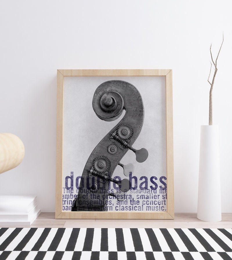Double Bass Wall Decor Art Poster Illustration Digital Print Music Musical Instrument