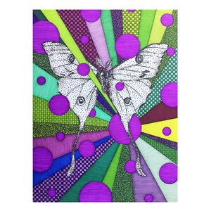 Luna Moth Print